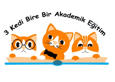 3 Kedi Akademi